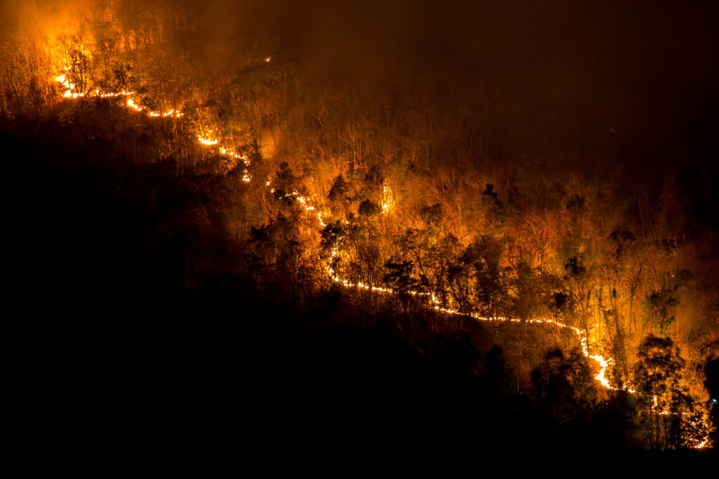Aerial view of a forest on fire at night. Bright orange flames form a line through the dense trees, creating a dramatic contrast with the surrounding darkness and smoky atmosphere.