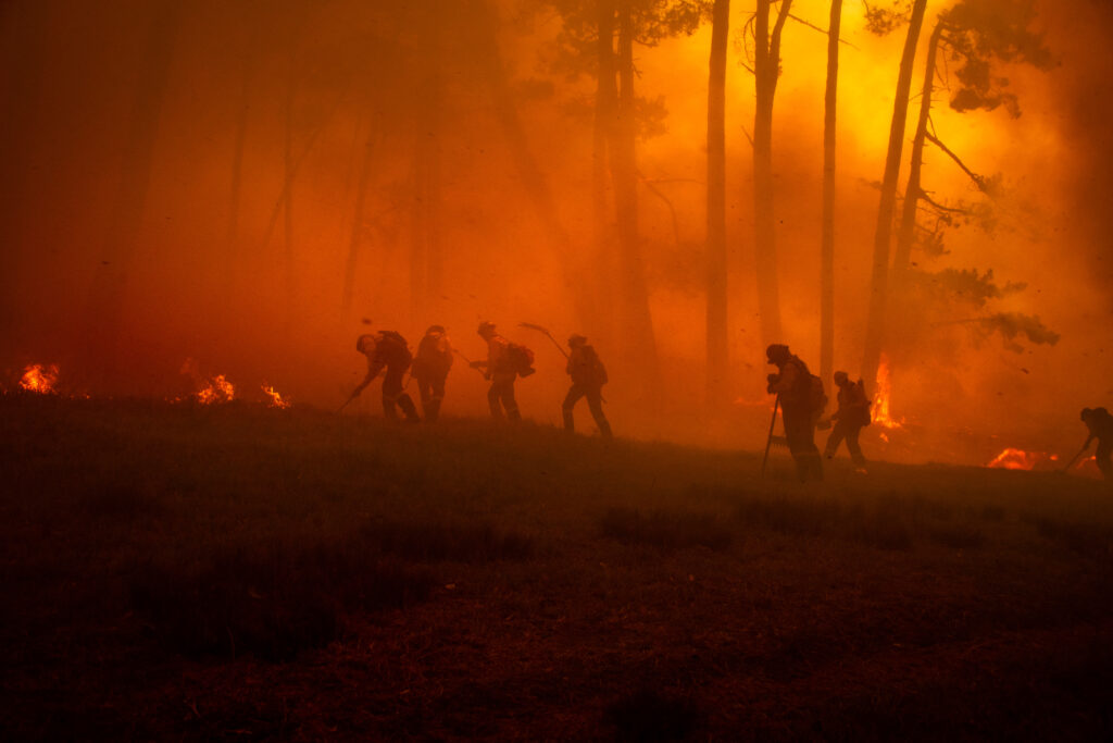 Firefighters in silhouette battle a spreading wildfire in a forest. The sky is filled with orange smoke, and the scene is enveloped in a haze, with flames visible near the ground. Tall trees stand in the background.