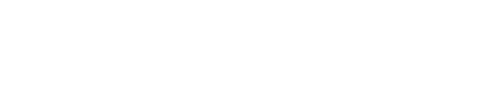 White text on a light gray background spells “ACCELERANT” in large, modern font. On the right side, there is a minimalistic outline of a bird in flight.