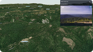 3D satellite view of a forested, mountainous area with labeled locations. An inset shows a webcam image of tree-covered hills under a cloudy sky.