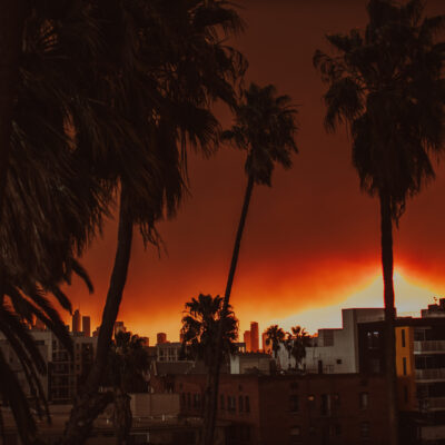 Silhouettes of palm trees and buildings are set against a dramatic, fiery orange sunset sky, casting an intense glow over an urban cityscape.