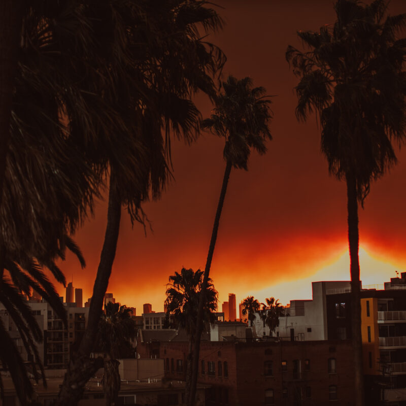 Silhouettes of palm trees and buildings are set against a dramatic, fiery orange sunset sky, casting an intense glow over an urban cityscape.