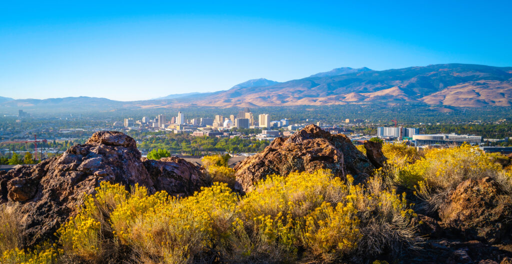 View of Reno, Nevada, with yellow wildflowers and rocky terrain in the foreground, city skyline in the middle ground, and mountains in the background under a clear blue sky.