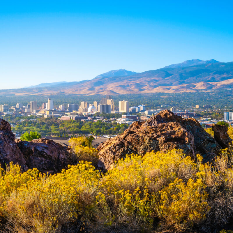 View of Reno, Nevada, with yellow wildflowers and rocky terrain in the foreground, city skyline in the middle ground, and mountains in the background under a clear blue sky.