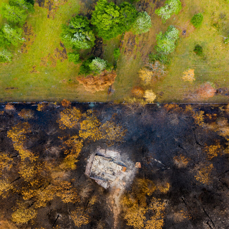 Aerial view of a landscape divided by a road; one side lush and green with healthy trees, the other side scarred by wildfire—burned and brown with charred trees and a ruined building at the center of the scorched area.