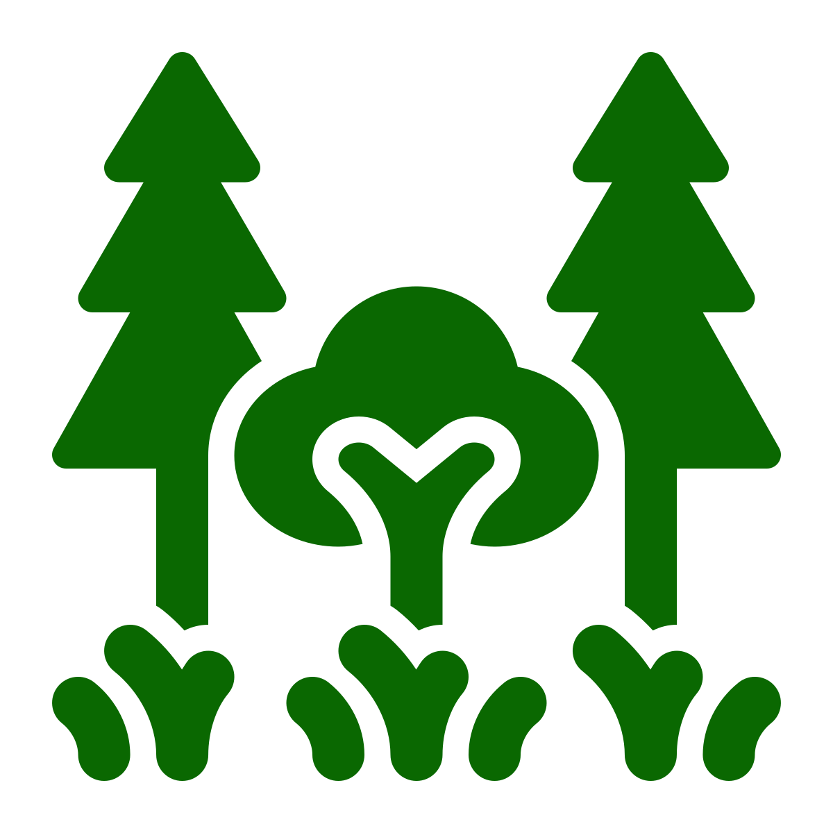 A simple green icon depicting two pine trees and one leafy tree with stylized grass at the bottom, all on a white background.