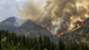A fierce wildfire burns through a dense forest on a mountain slope, with tall flames and thick smoke rising into the sky. Pine trees cover the landscape as the wildfire rapidly spreads.