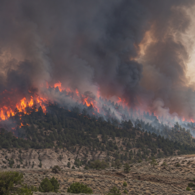 A fierce wildfire burns through a forested hillside, with large flames and thick, dark smoke rising into the sky above the dry, rugged terrain.