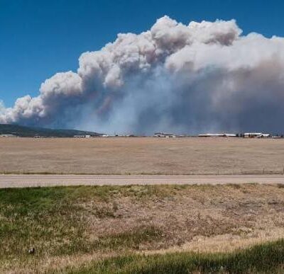 Thick, gray smoke billows into the blue sky from a raging wildfire in the distance, behind a dry, grassy field and a road in the foreground.