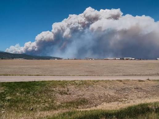 Thick, gray smoke billows into the blue sky from a raging wildfire in the distance, behind a dry, grassy field and a road in the foreground.