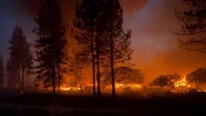 A raging wildfire burns intensely through a forest, with tall trees silhouetted against the bright orange flames and dark smoke filling the night sky.