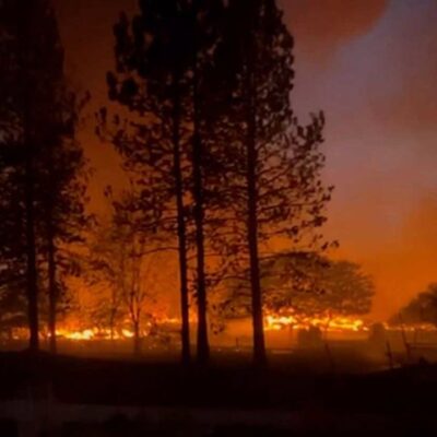 A raging wildfire burns intensely through a forest, with tall trees silhouetted against the bright orange flames and dark smoke filling the night sky.