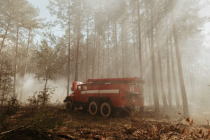 A red fire truck is parked in a smoky forest with tall trees, responding to a wildfire. Sunlight streams through the hazy air, and some underbrush appears burned or charred.