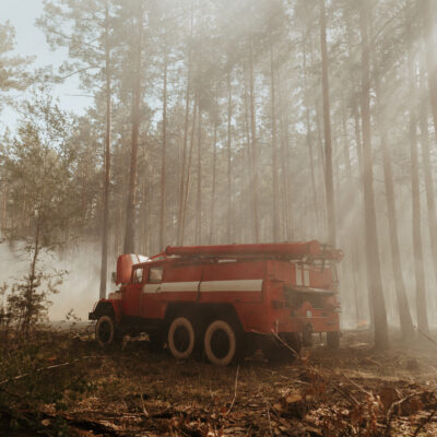 A red fire truck is parked in a smoky forest with tall trees, responding to a wildfire. Sunlight streams through the hazy air, and some underbrush appears burned or charred.